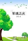 军魂之光 封面