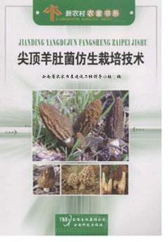 尖顶羊肚菌仿生栽培技术 封面