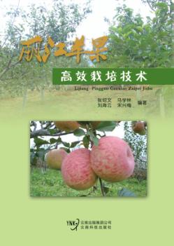 丽江苹果高效栽培技术 封面