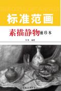 素描静物标准范画  袖珍本 封面