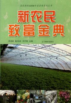 新农民致富金典 封面