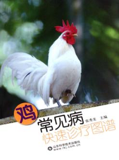 鸡常见病快速诊疗图谱 封面