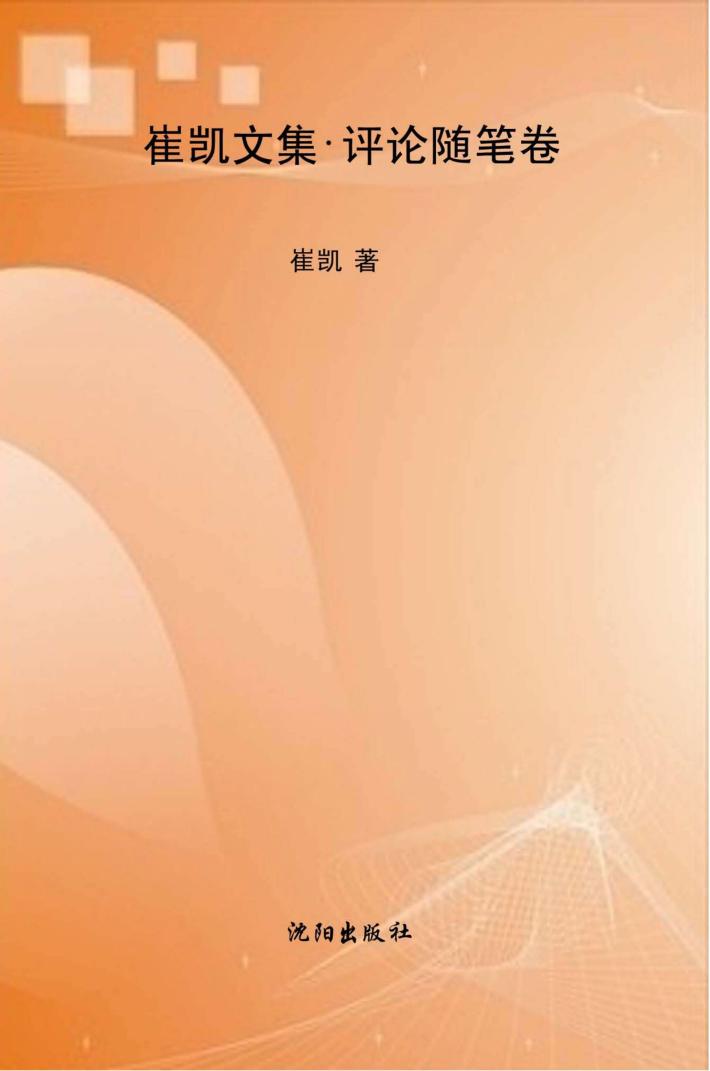 崔凯文集  评论随笔卷 封面