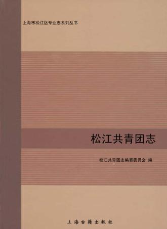 松江共青团志 封面