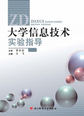 大学信息技术实验指导 封面