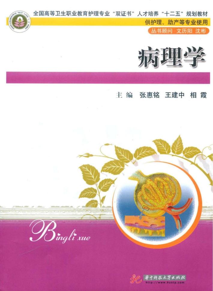 病理学  全彩印 封面