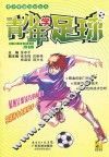 青少年来运动丛书  青少年学足球 封面