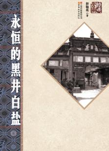 永恒的黑井白盐 封面