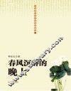 春风沉醉的晚上 封面
