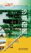 塞上江南神奇宁夏丛书  沙湖奇景 封面