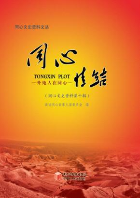 同心情结  外地人在同心 封面