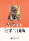 青少年的犯罪与预防 封面