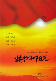 旗帜和阳光 封面