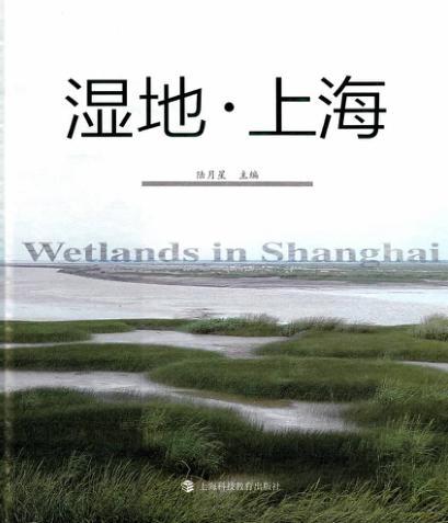 湿地  上海 封面