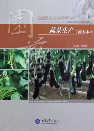 蔬菜生产 南方本