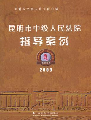 昆明市中级人民法院指导案例  2009 封面