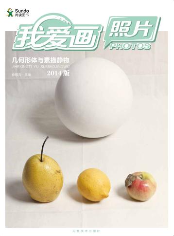 我爱画照片  几体形体与素描静物 封面