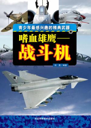 嗜血雄鹰  战斗机 封面