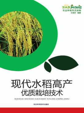 现代水稻高产优质栽培技术 封面