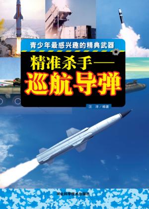 精准杀手  巡航导弹 封面