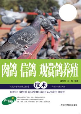 肉鸽 信鸽 观赏鸽养殖技术 封面