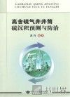 高含硫气井井筒硫沉积预测与防治 封面