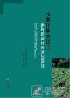 少数民族农民工参与新农村建设的实践 封面