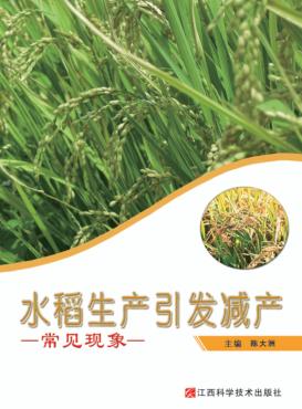 水稻生产引发减产常见现象 封面