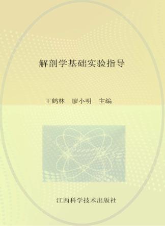 解剖学基础实验指导 封面