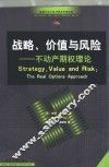 战略、价值与风险  不动产期权理论 封面
