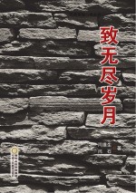 致无尽岁月 封面