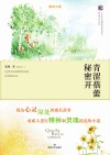 青涩蓓蕾秘密开 封面