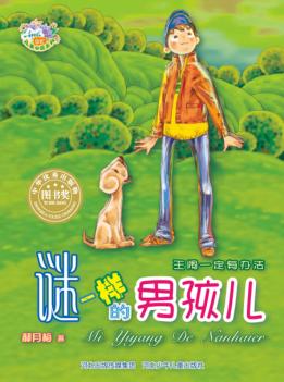 谜一样的男孩儿 封面