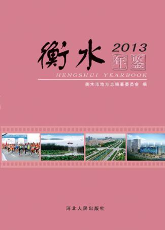 衡水年鉴  2013 封面
