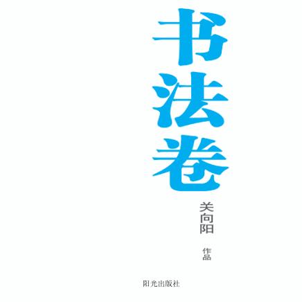银川文学艺术精品工程 书法卷 关向阳作品 封面