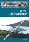 贺兰山野生动物图谱 封面