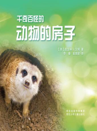 千奇百怪的动物的房子 封面