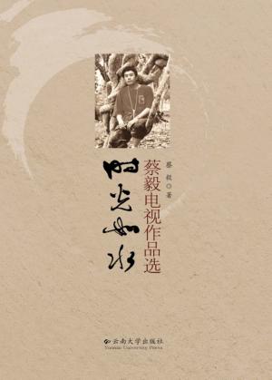 时光如水  蔡毅电视作品选 封面