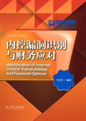 内控漏洞识别与财务应对 封面