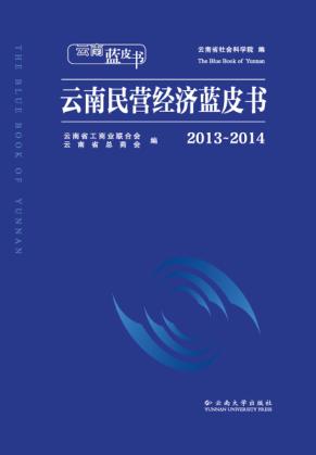 2013-2014云南民营经济蓝皮书 封面