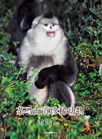 茶马古道珍稀动物 封面