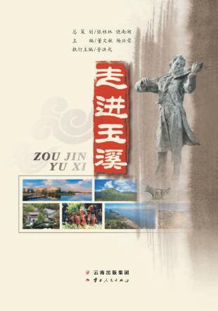走进玉溪 封面