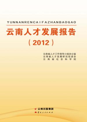 云南人才发展报告 封面