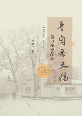 鲁闲斋文稿 封面