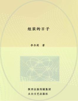 组装的日子 封面