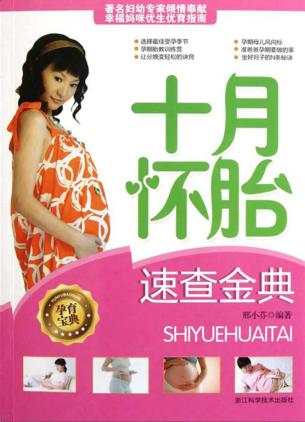 十月怀胎速查金典 封面