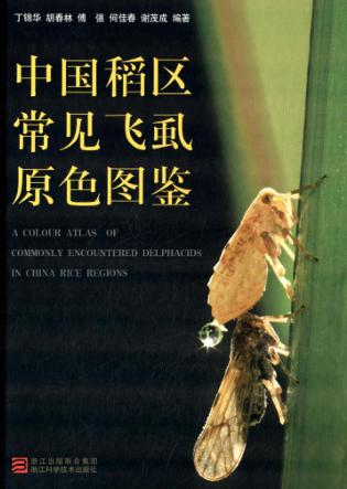 中国稻区常见飞虱原色图鉴 封面