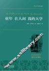 童年  在人间  我的大学 封面