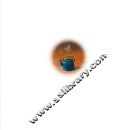 贝尔熊很害怕 封面