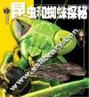 权威探秘百科  昆虫和蜘蛛探秘 封面